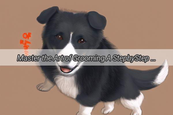 Master the Art of Grooming A StepbyStep Guide to Perfecting Your Dogs Coiffure